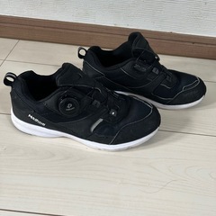 ダイヤルシューズ22cmの画像
