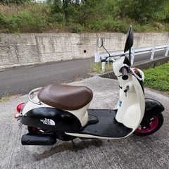 スクーピー　自賠責保険ありの画像
