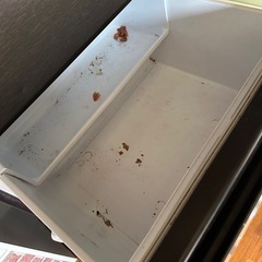 2023三菱冷蔵庫の画像
