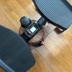 ツイストエアロステッパーPremium 木目調　オアシスの画像