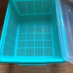アウトドア　コールマンまな板の画像