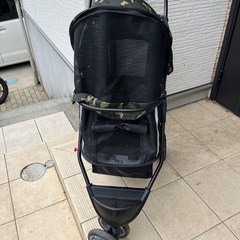 ペットバギー
の画像