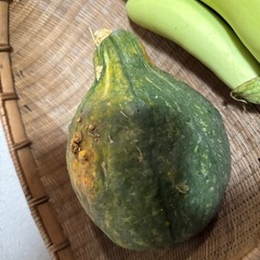 家庭菜園で採れた カボチャ➕茄子の画像