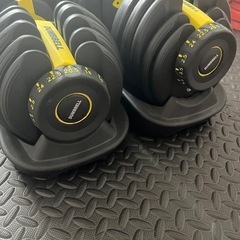 DUMBBELL 可変式ダンベル 2個セットの画像