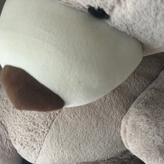 くまのぬいぐるみの画像