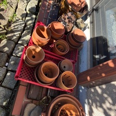 素焼きの鉢植えの画像