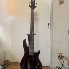【数名交渉中】SCHECTER 5弦BASS   の画像