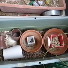 使わなくなったプランター、植木鉢などお譲りします。の画像
