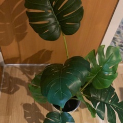 配達可能！激安9/27まで！転勤のため放出！フェイクグリーン！模造観葉植物　高級の画像