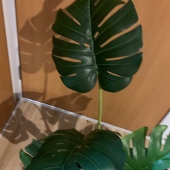 配達可能！激安9/27まで！転勤のため放出！フェイクグリーン！模造観葉植物　高級の画像