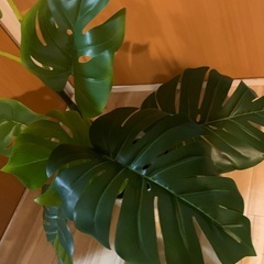 配達可能！激安9/27まで！転勤のため放出！フェイクグリーン！模造観葉植物　高級の画像