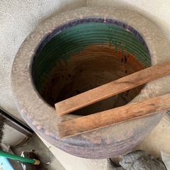 睡蓮鉢？大型の画像