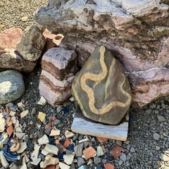 庭石譲りますの画像