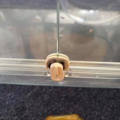 ハムスターケージの画像