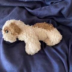 犬のぬいぐるみの画像