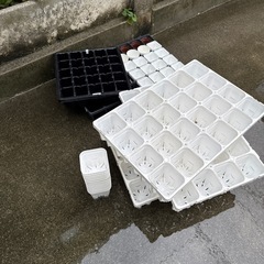 育苗の鉢セットの画像