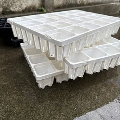 育苗の鉢セットの画像
