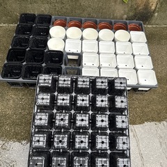 育苗の鉢セットの画像