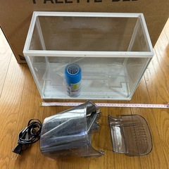 水槽内の生体まとめて売りますの画像