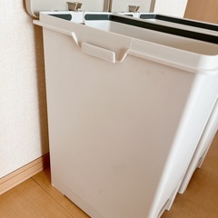 ゴミ箱45ℓ 2個の画像