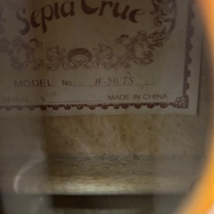 ①SepiaCrue ミニアコースティックギター W-50の画像