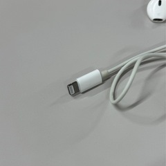 イヤホン　iPhone純正の画像