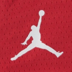 新品未使用 Jordan 日本代表 バスケットボール ユニフォーム L タグ付きの画像