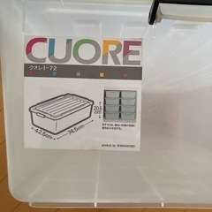 薄型衣装ケース　　42.5cm×74.5cm×高さ20.5cmの画像