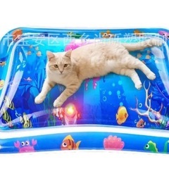 猫用遊具・給餌器・3点セットの画像