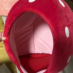 ペットいちごハウスの画像