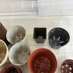 プラ鉢の画像