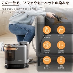 カーペットクリーナー 18000Pa リンサークリーナー 水洗い ソファ洗浄　ラグマット　ラグ ソファクリーナー カーペットの画像
