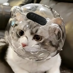 猫用遊具その他諸々セットの画像