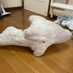 爬虫類　オブジェ　流木の画像