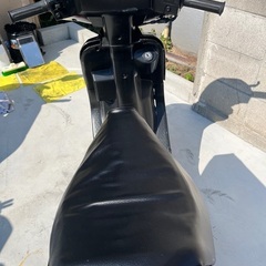 セピア ca1eaの画像