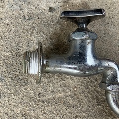 蛇口　中古の画像