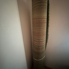 カーペットの画像