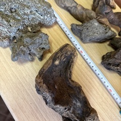 【リユース☆エコちょっぷ🦜】水槽飾り石・流木の画像