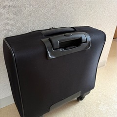 アラミス　キャリーの画像