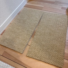 静床ライト　切れ端寄せ集め（2色）の画像