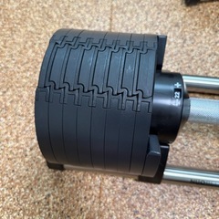 フレックスベル 32kg 2kg刻み 可変式ダンベル FLEXBELLの画像