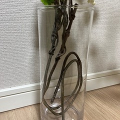 【お話し中】造花の画像