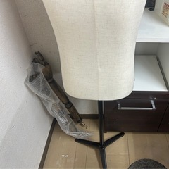 トルソー　マネキン　ボディの画像