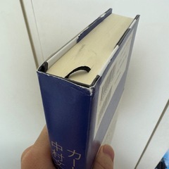 カード師　小説　本の画像