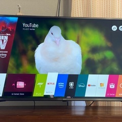4K対応 Wi-Fi アプリ多数 43インチ液晶テレビ LG 43UJ6100の画像