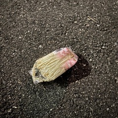 新規グルメン大募集ーー