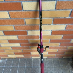 釣り竿リールセットですの画像