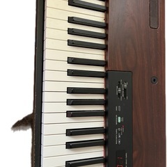 Yamaha P120の画像