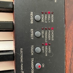 Yamaha P120の画像