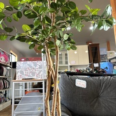 おまけ付き❣️フェイクグリーン🪴人工観葉植物🌿お洒落🌟造花置物の画像
